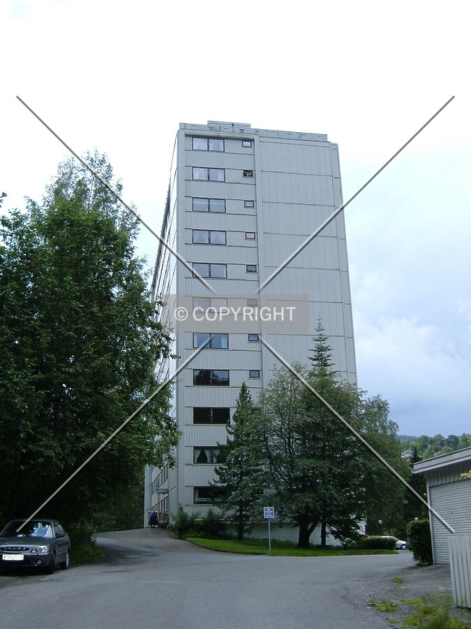 Daytime view