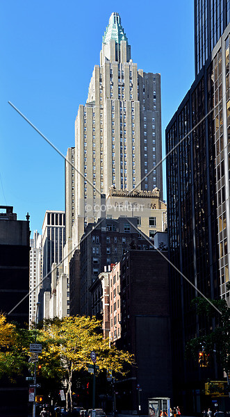 Photo 756-740-148
