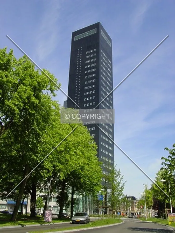 View from Sophialaan