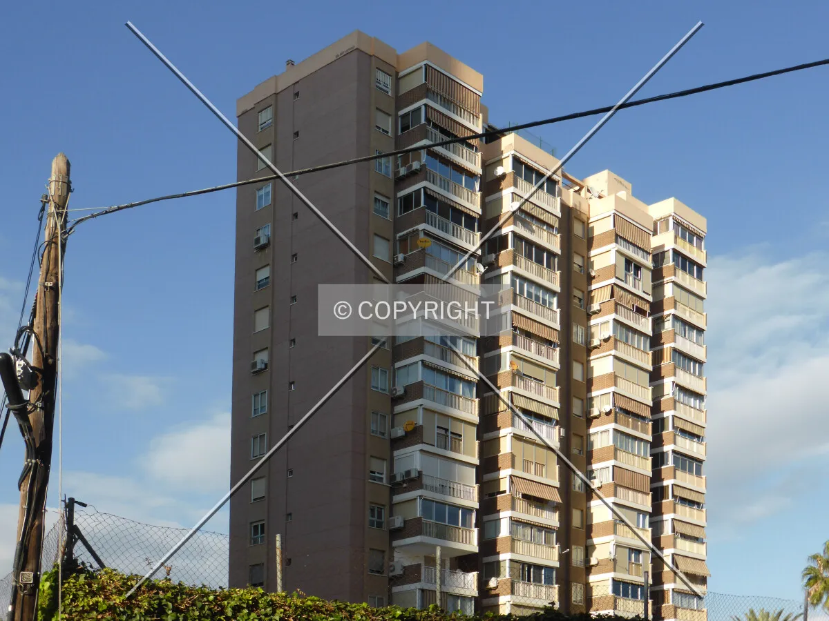 Photo 756-854-971