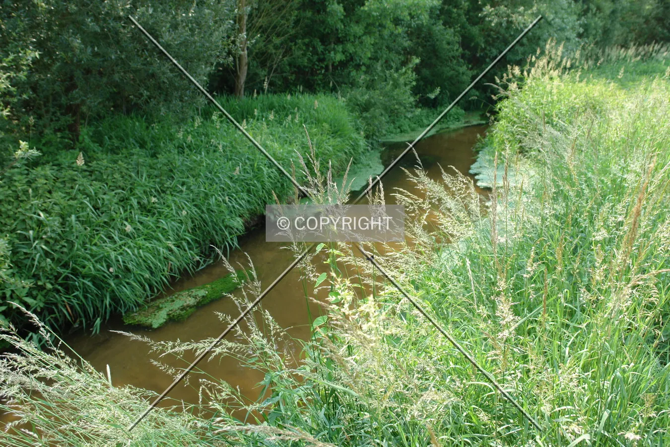 A small creek