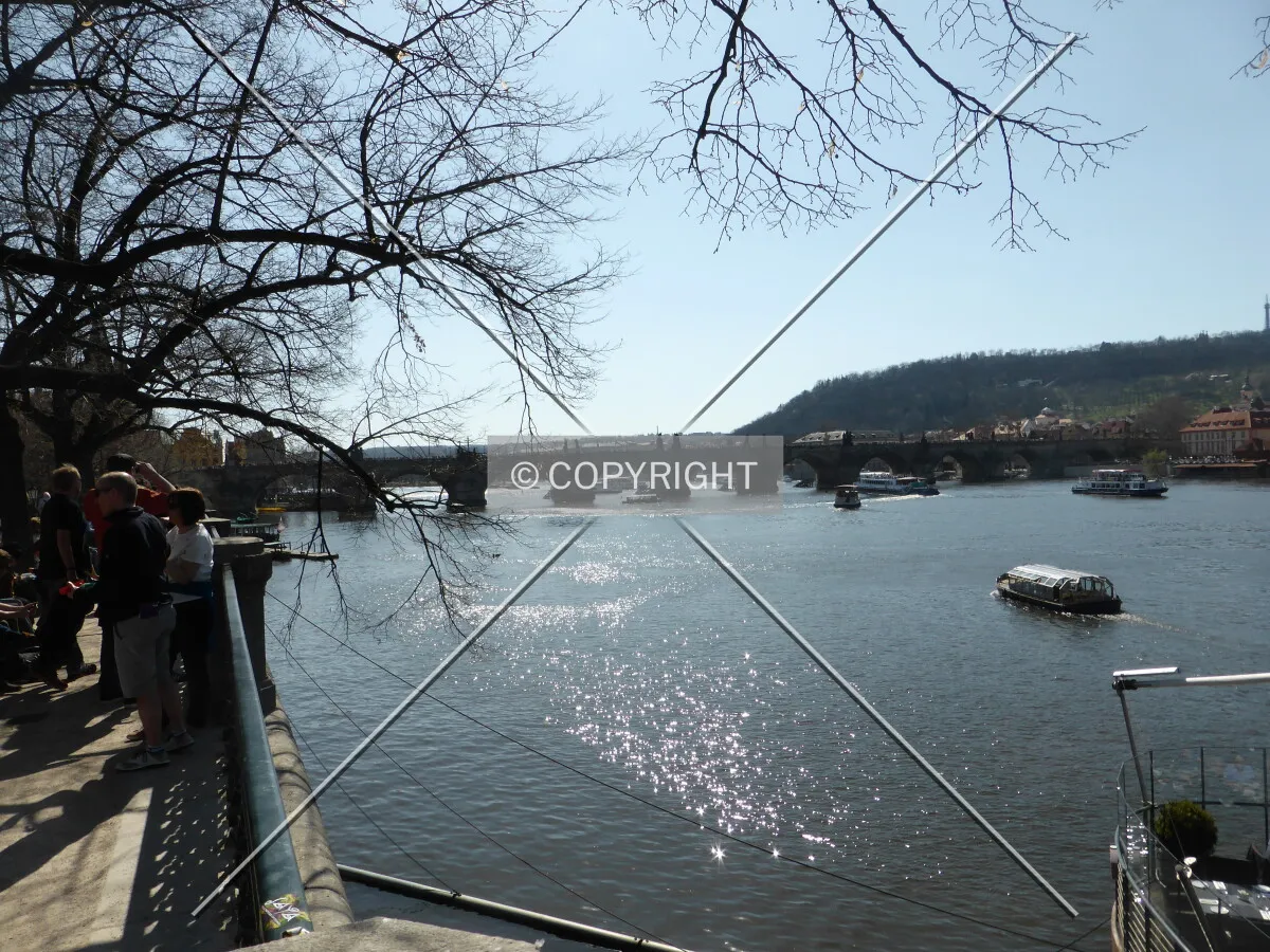 Photo 757-694-030