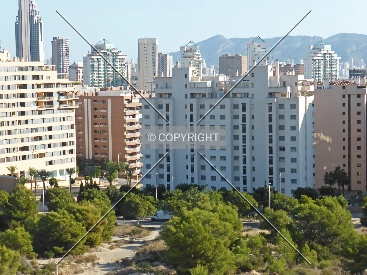 Photo 758-529-924
