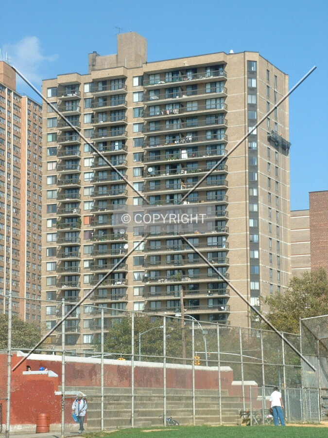View from Colden Street
