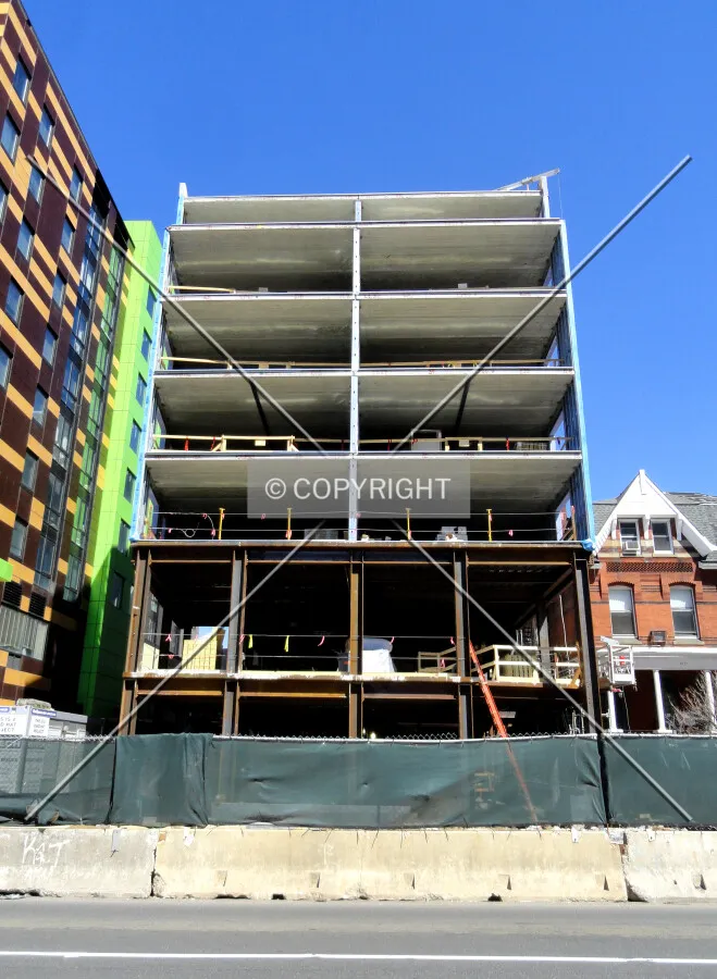 From across Chestnut Street to the south