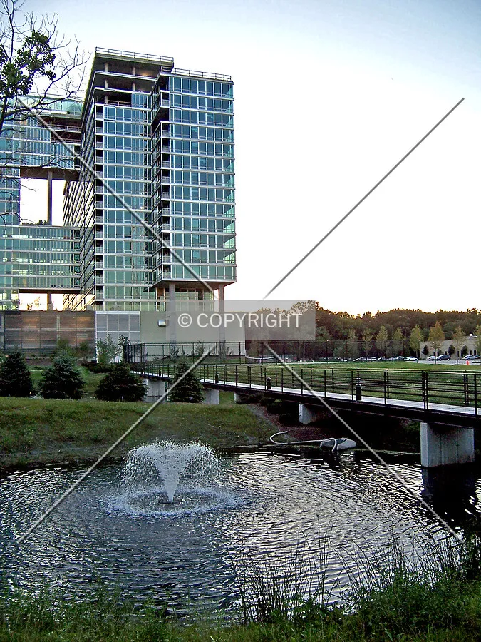 Pedestrian bridge crossing a pond in the northeast corner of the site with the Maple Tower wing in the background