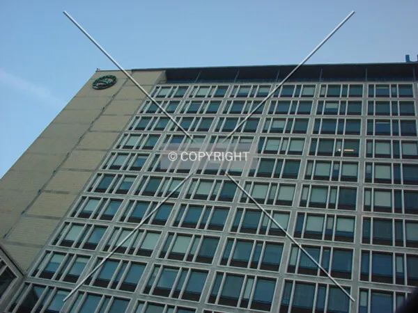 View to the top