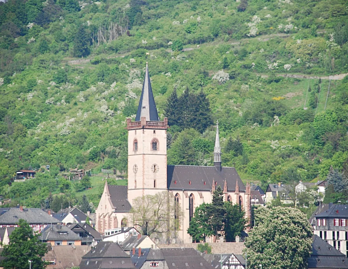 View from the Rhine river