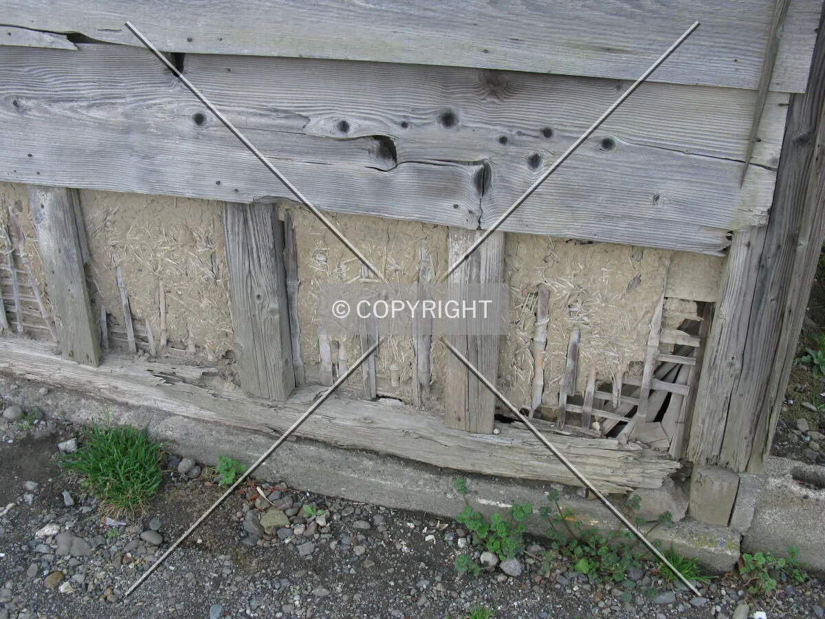 Photo 760-146-343