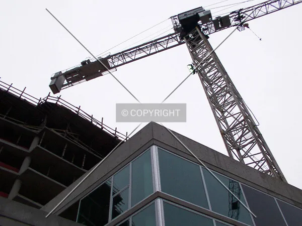 Tower crane