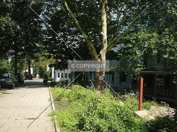 In front of the building at Blumenstraße