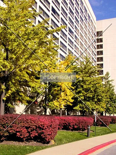 Photo 761-900-564