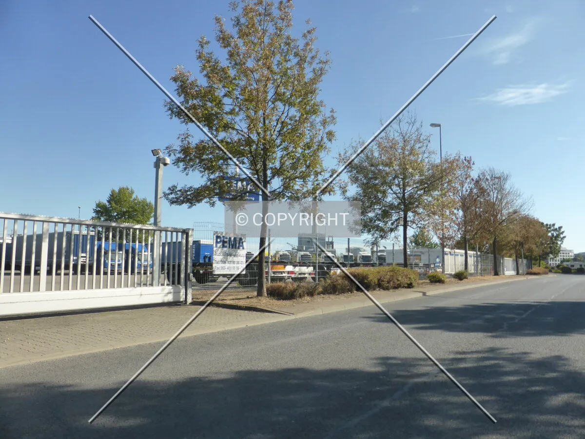 Photo 762-270-731
