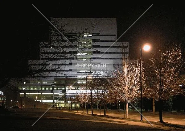 Photo 762-341-221