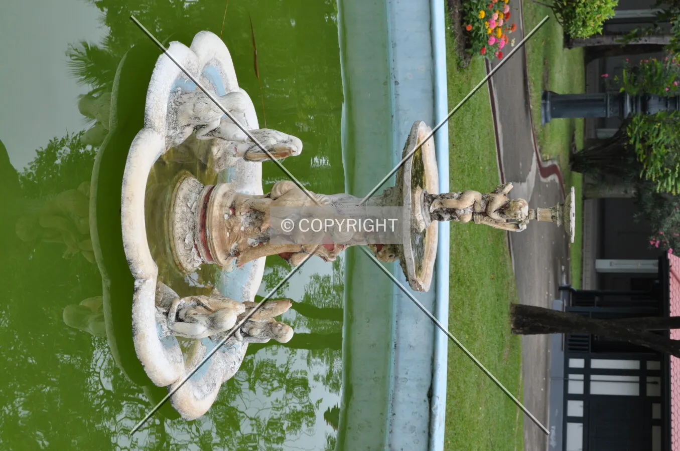 Photo 076-247-714