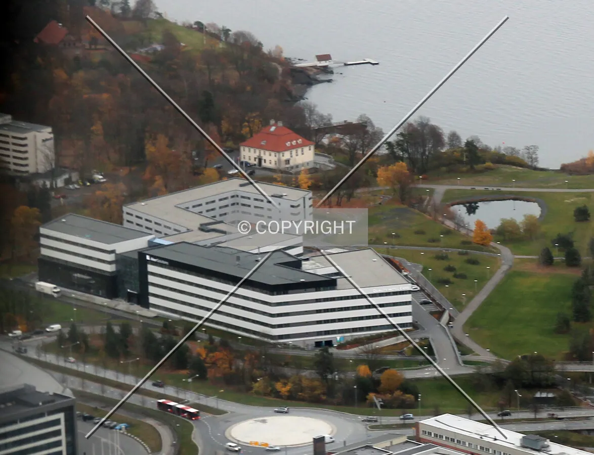Elevated view from the west