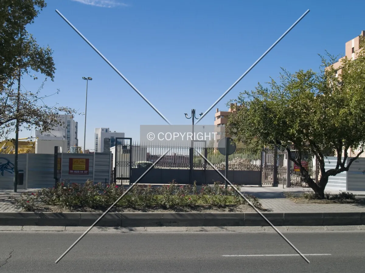 View of the site from across the street