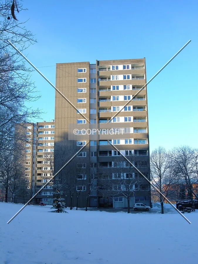 View from the south