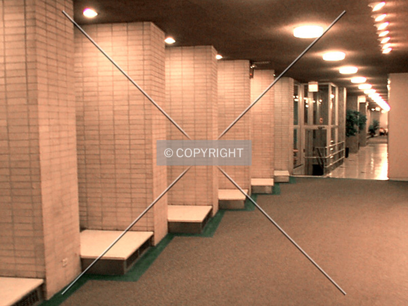 Photo 763-517-792