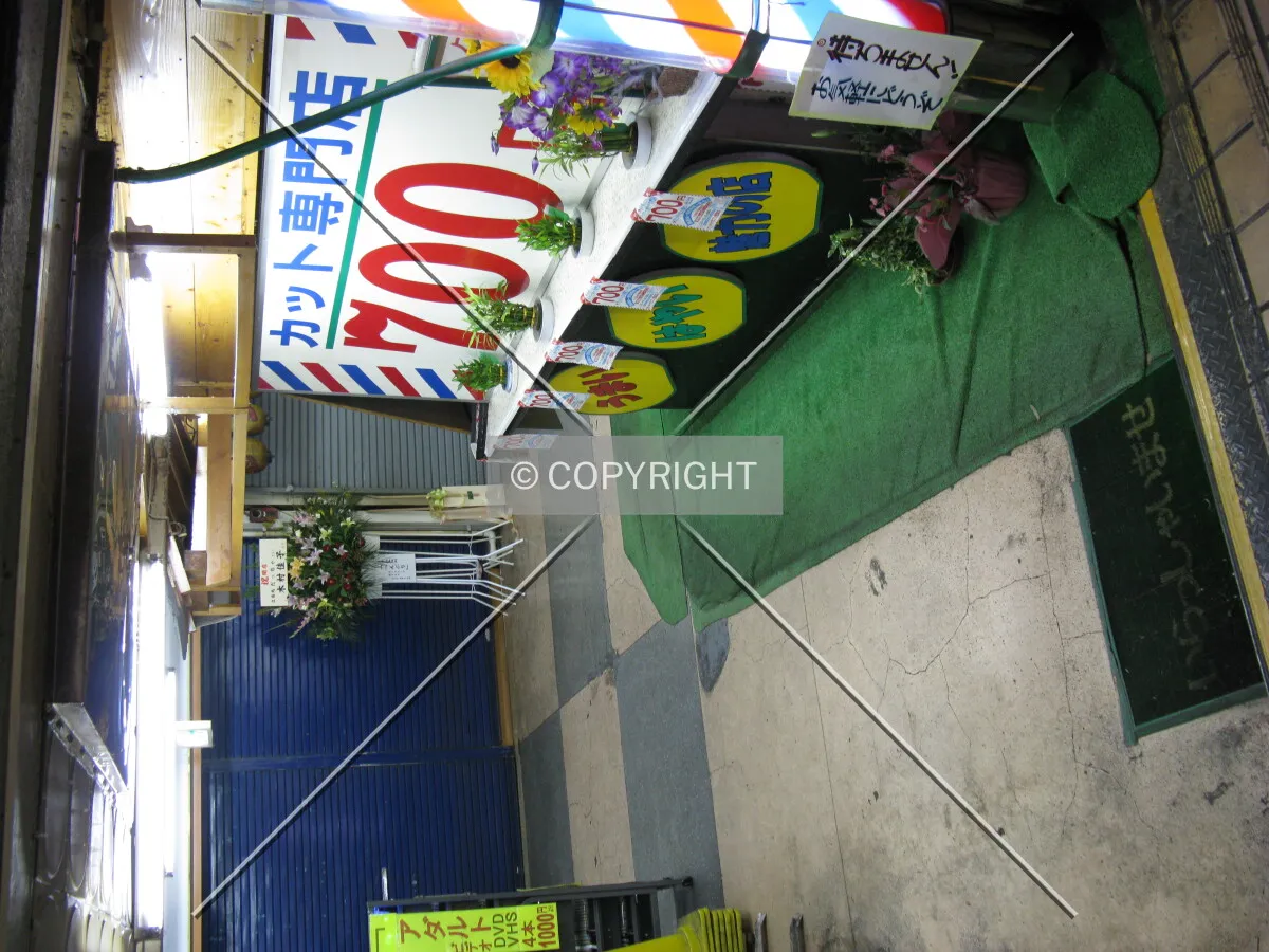 Photo 763-735-926