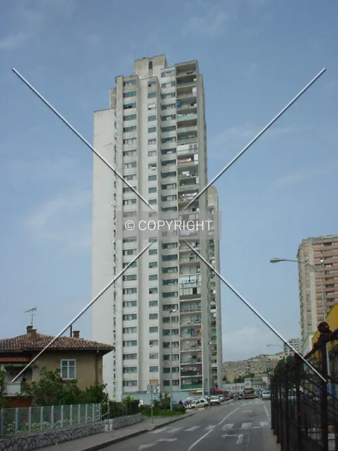 Photo 076-378-839