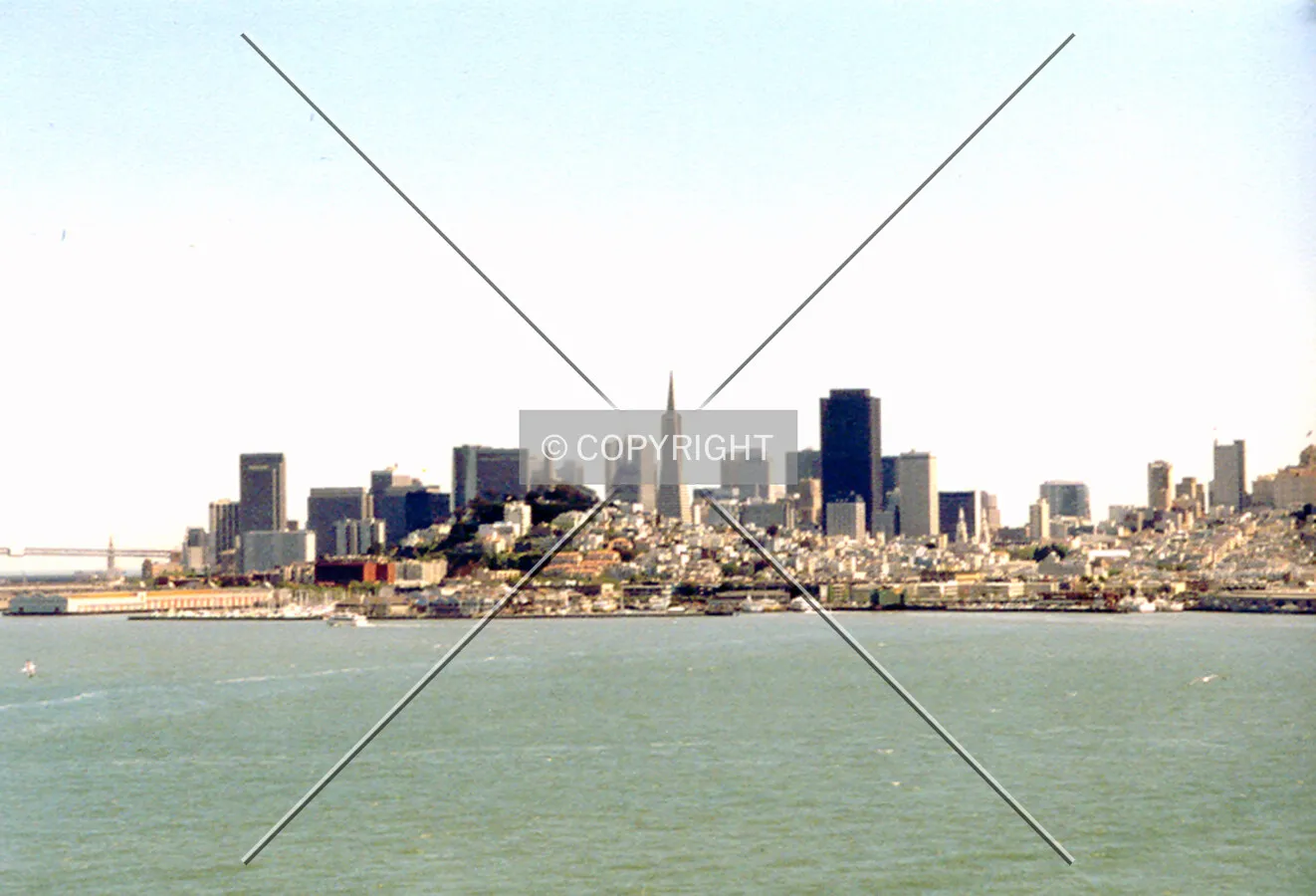 Skyline view from the north