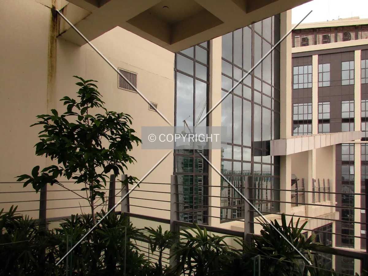 Upper floors seen from the roof deck