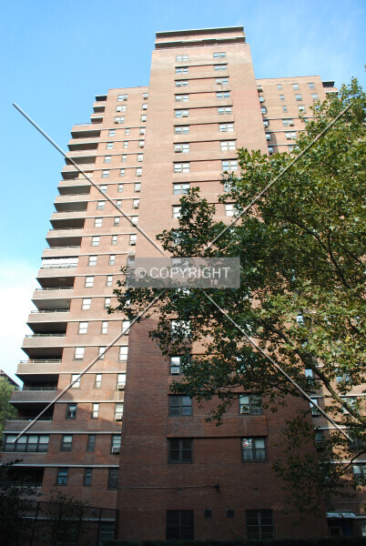 Photo 764-103-347
