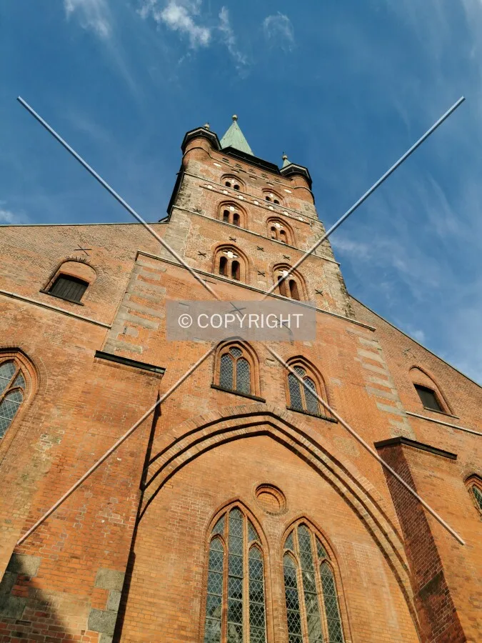 Photo 764-771-122