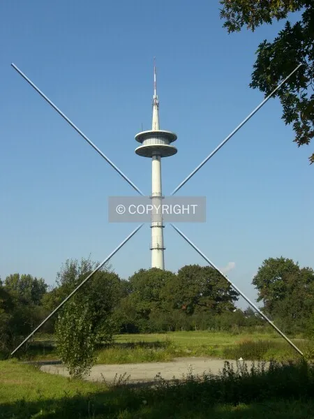 Photo 076-494-070