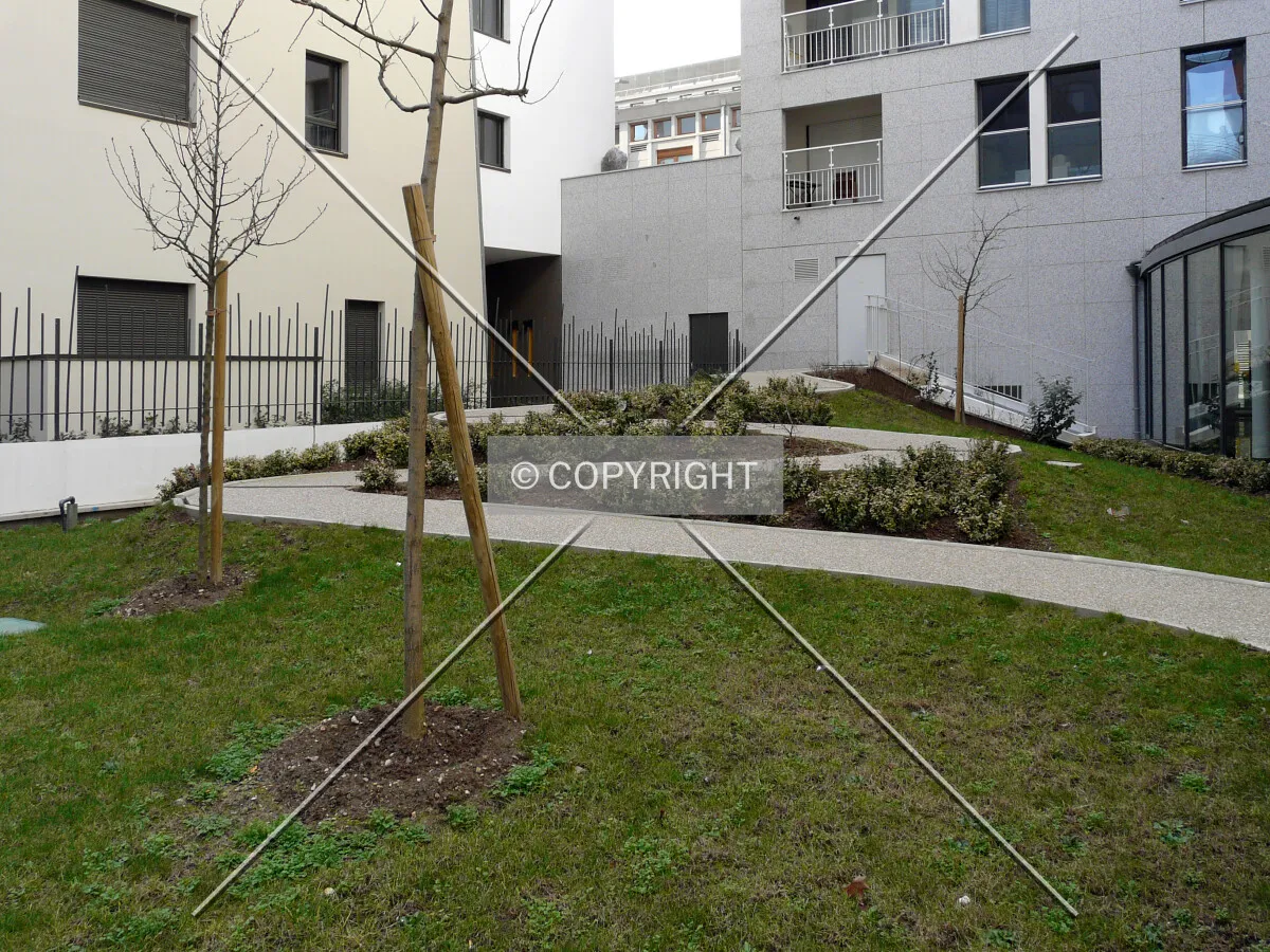 Small garden between the building and its neighbor, on the south corner