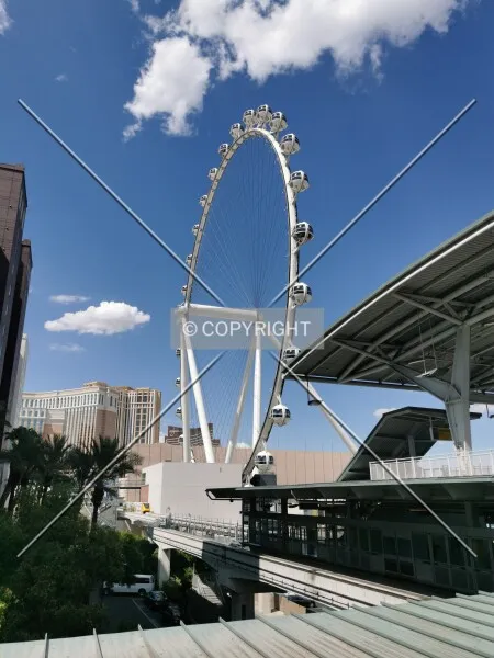 Photo 076-536-830