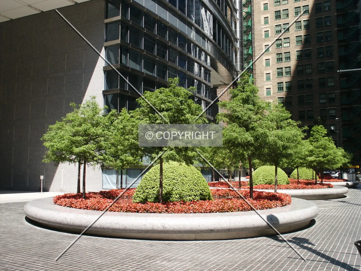 Landscaping on Franklin Street