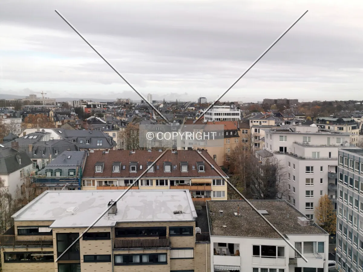 View over Frankfurt