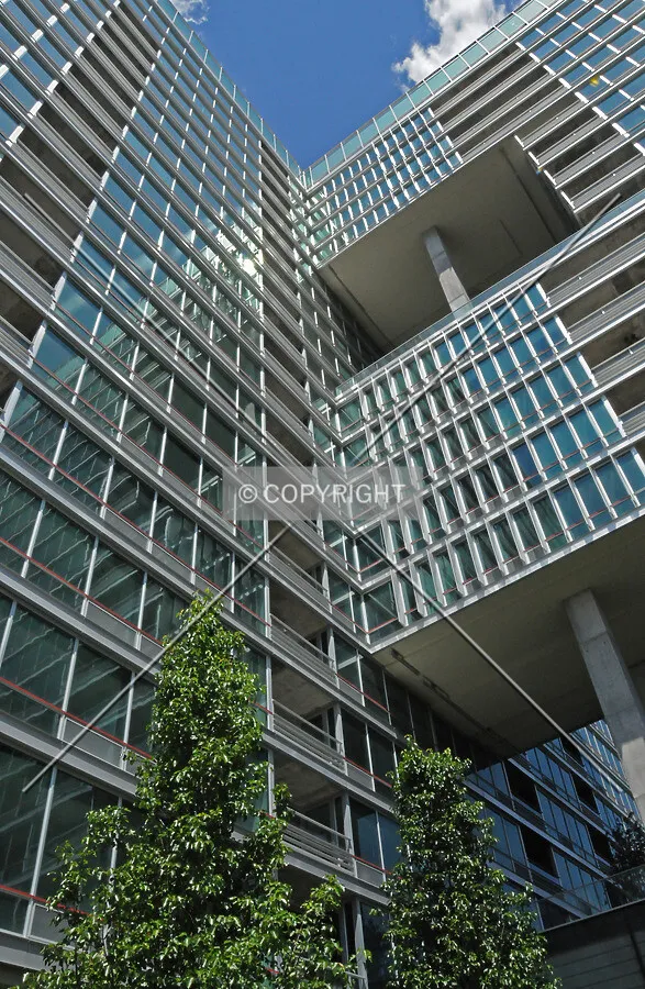 Looking up the linkage between the Maple and Elm Towers from the motor court
