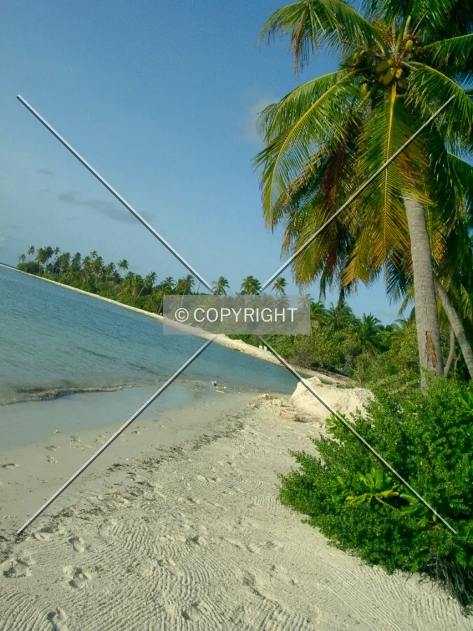 Photo 765-721-766