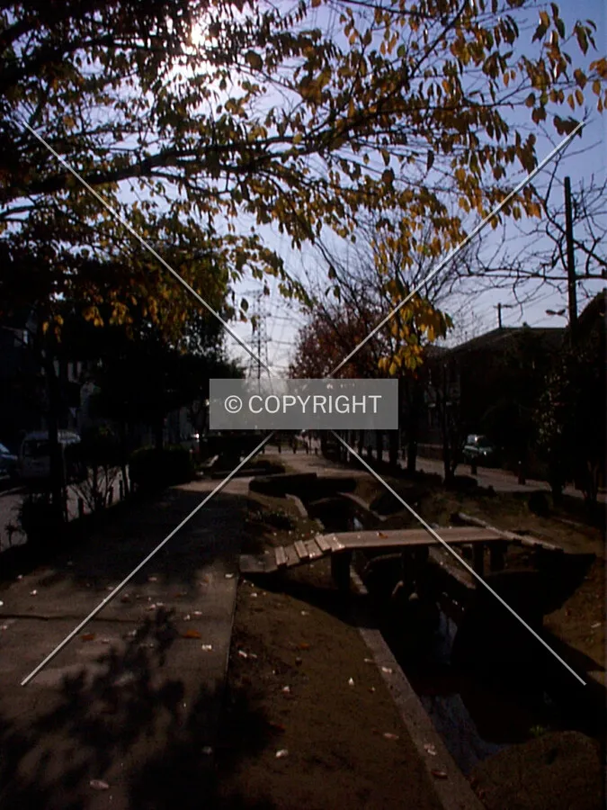Photo 766-145-499