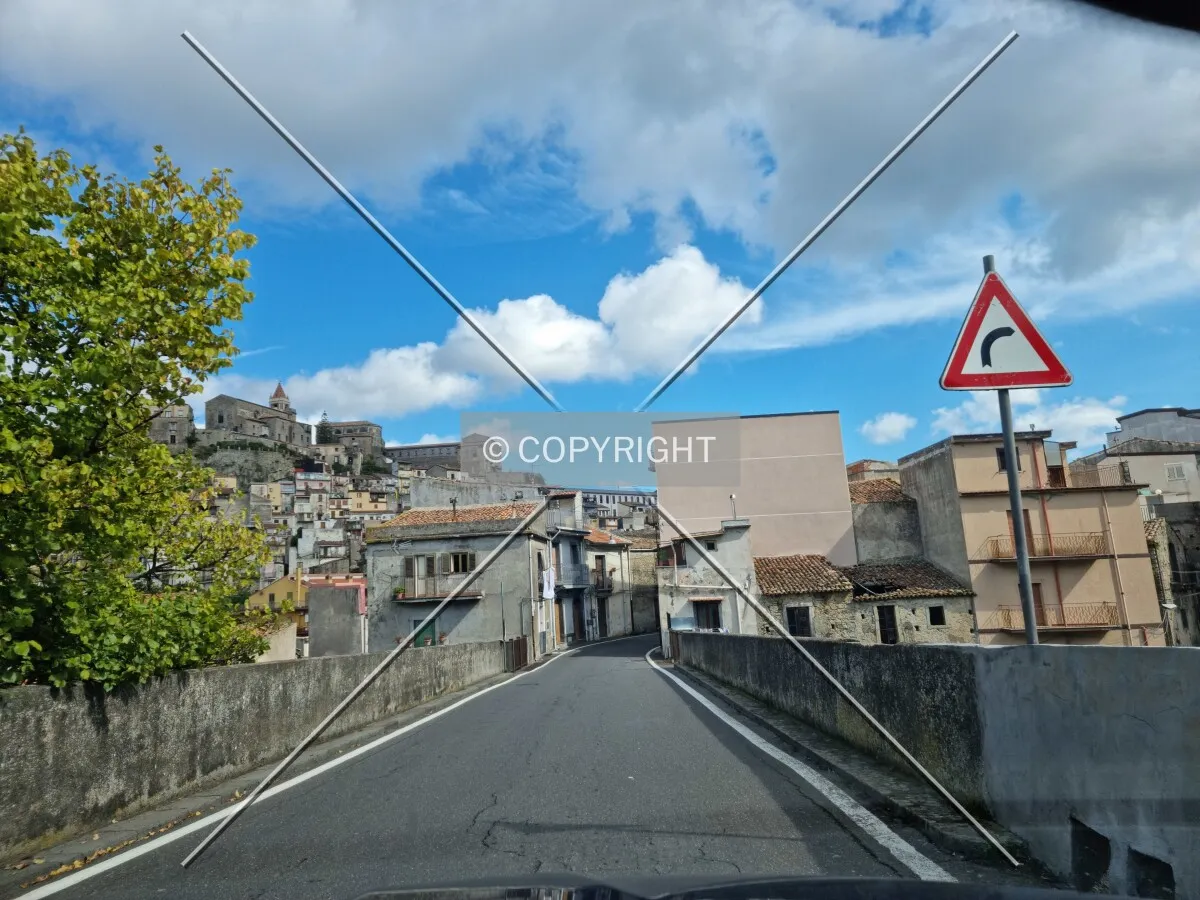 Photo 766-538-286