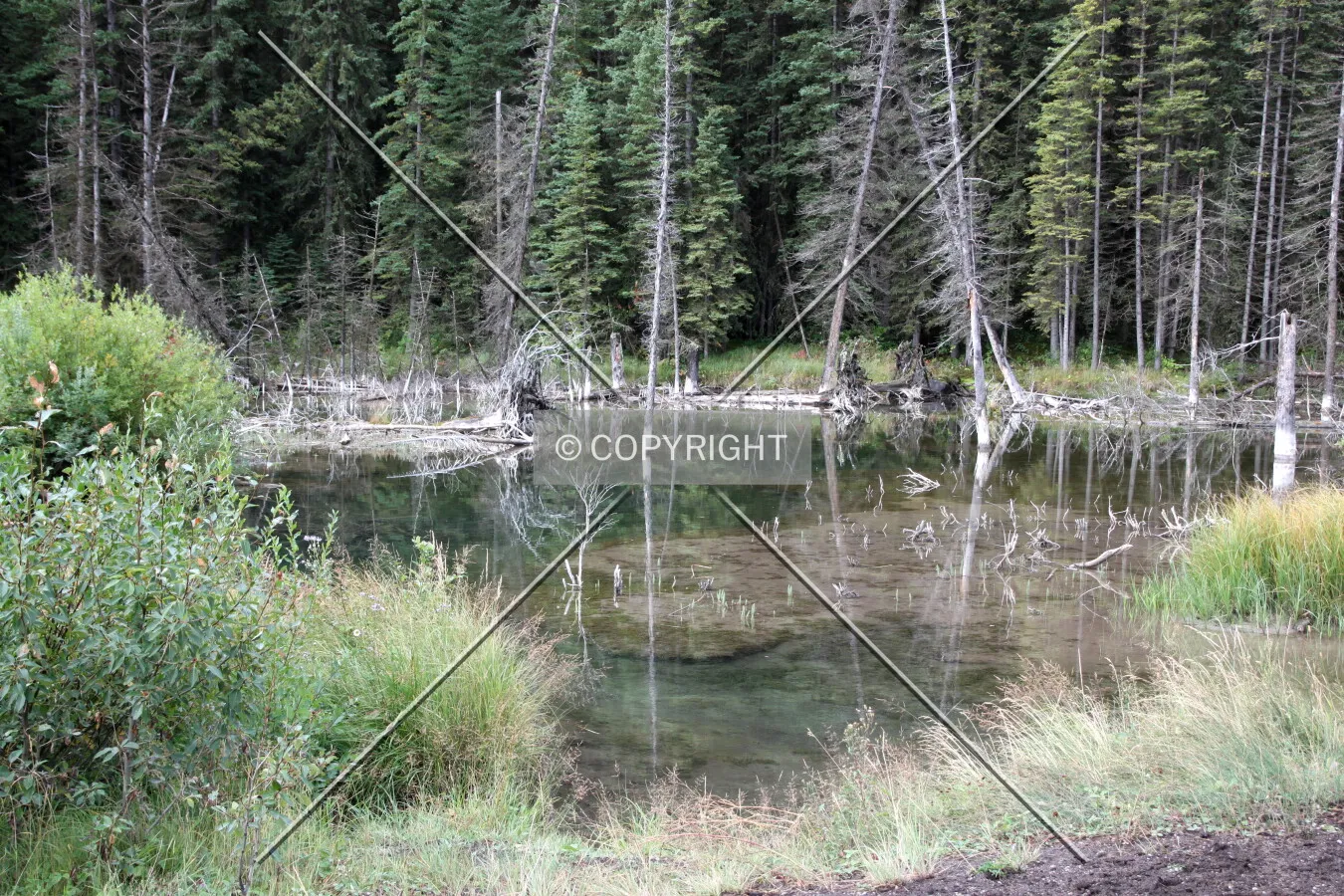 Banff National Park