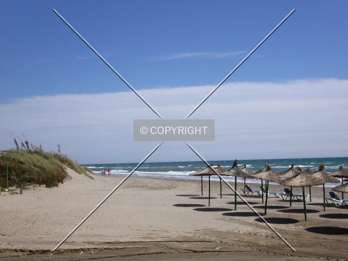 Seashore by Elviria