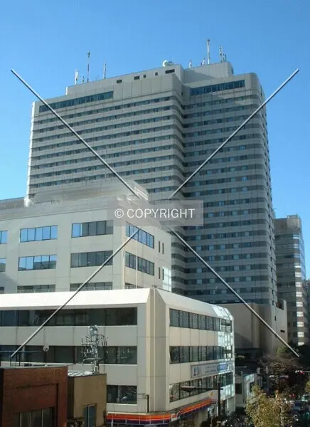 Photo 766-941-586