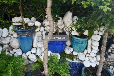 Garden detail