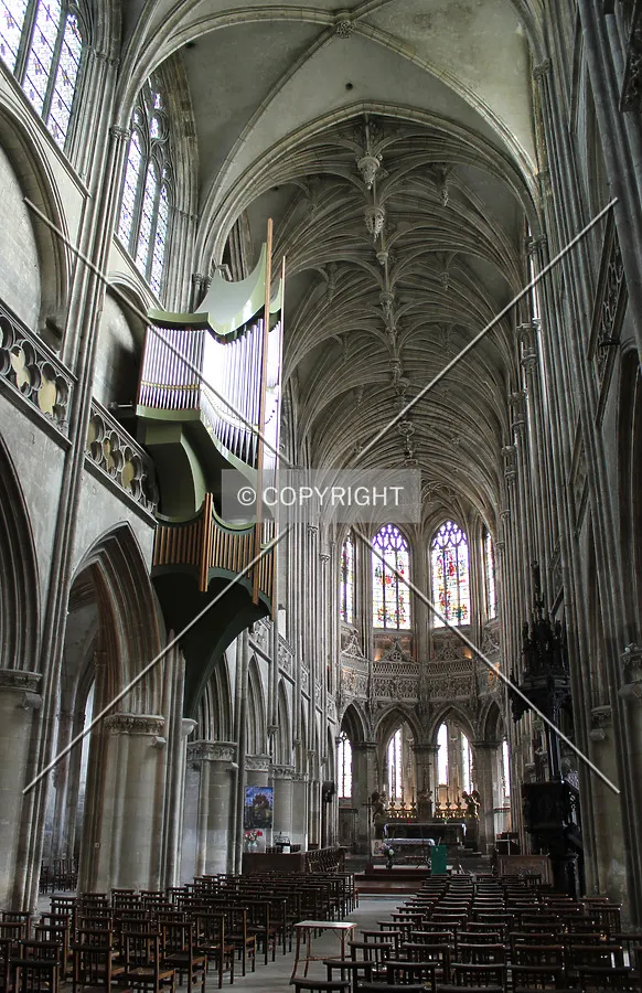 Photo 767-110-315