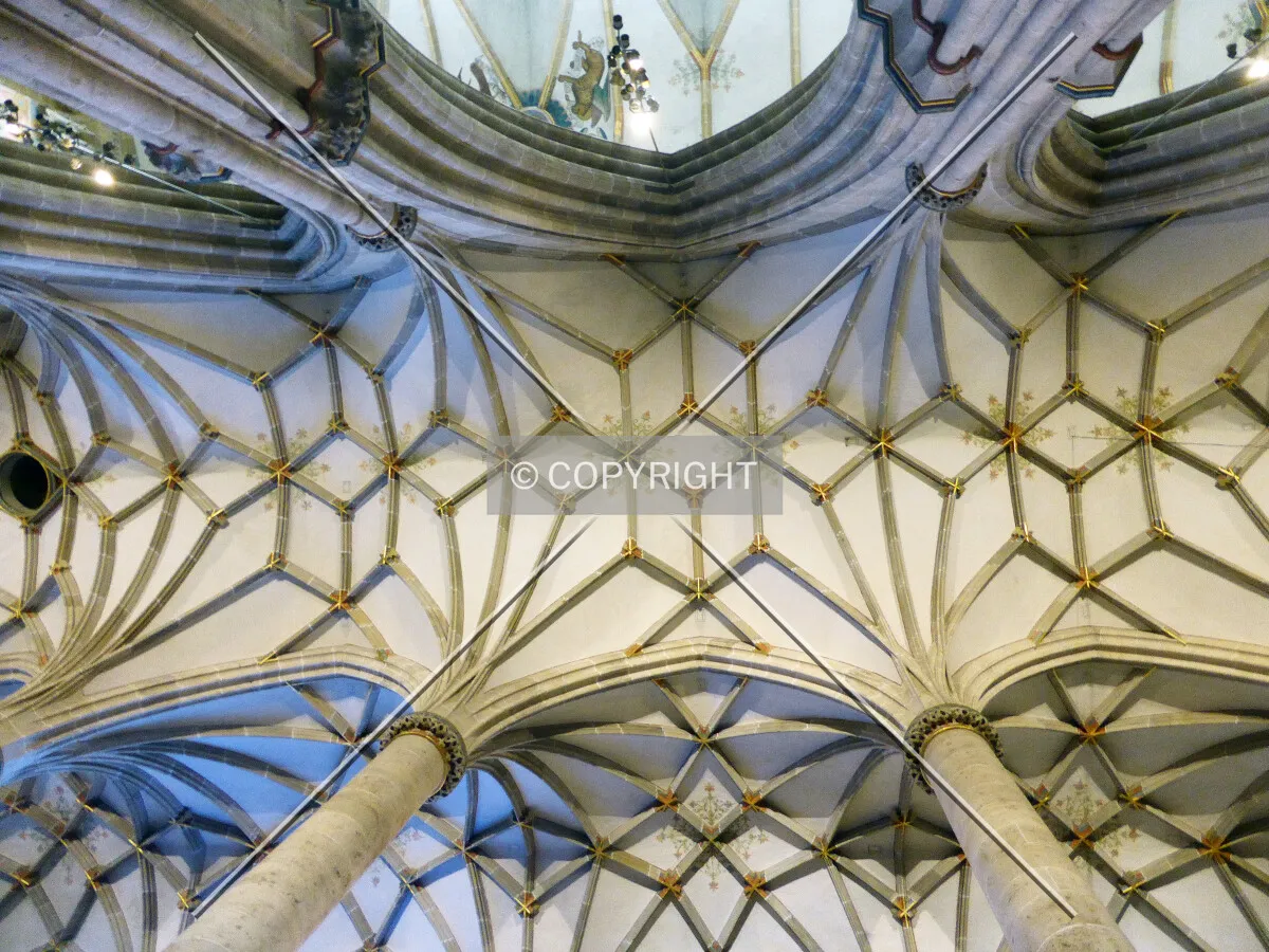 Photo 767-115-831