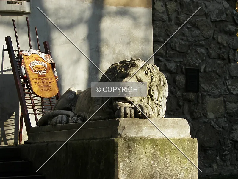 Photo 076-723-778