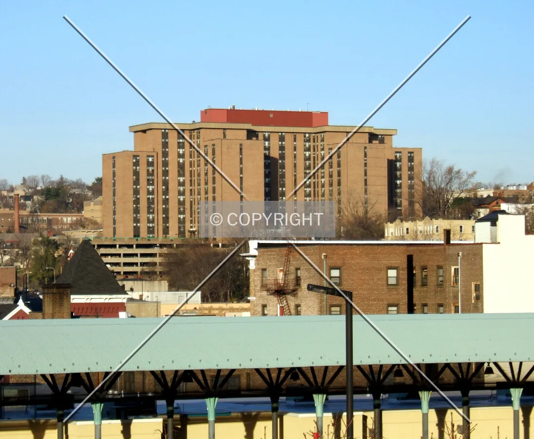 View from the southwest