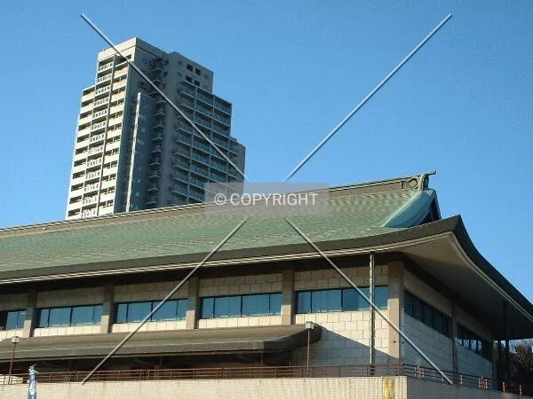 Photo 767-508-534