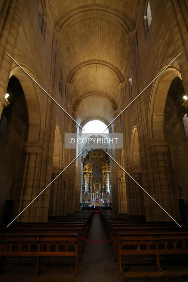 Cathedral's ceiling