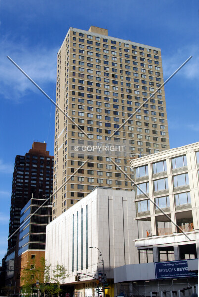 Photo 767-704-335