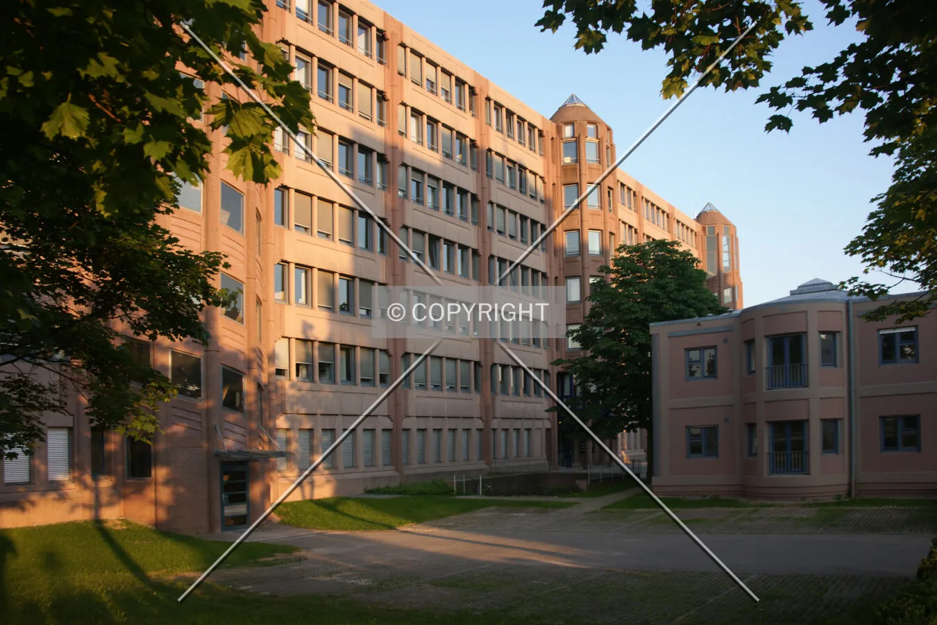 Photo 767-890-411